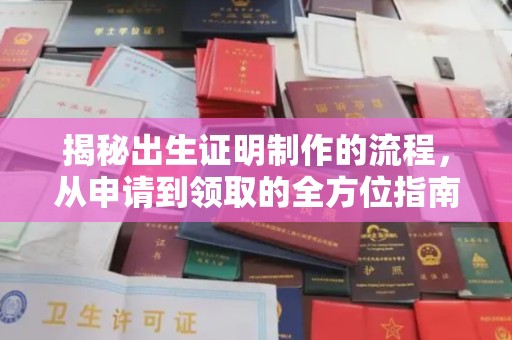 彭泽揭秘出生证明制作的流程，从申请到领取的全方位指南