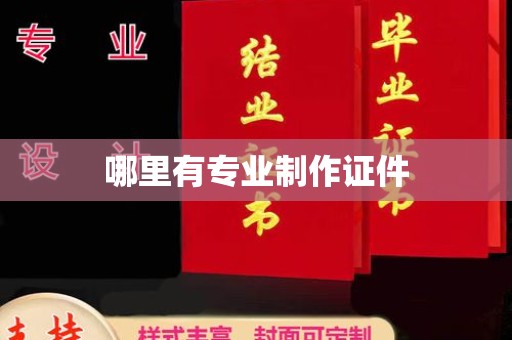 彭泽哪里有专业制作证件