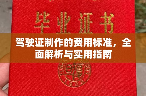 彭泽驾驶证制作的费用标准，全面解析与实用指南