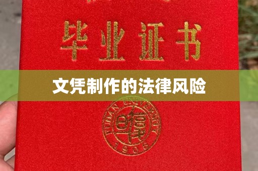 彭泽文凭制作的法律风险
