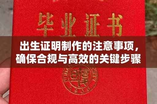 彭泽出生证明制作的注意事项，确保合规与高效的关键步骤
