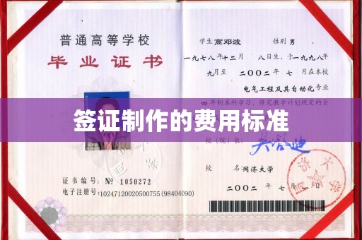 彭泽签证制作的费用标准
