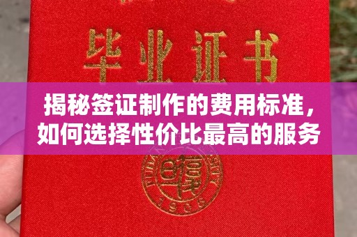 彭泽揭秘签证制作的费用标准，如何选择性价比最高的服务？