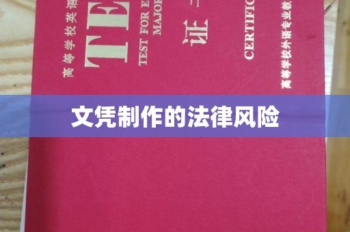 彭泽文凭制作的法律风险
